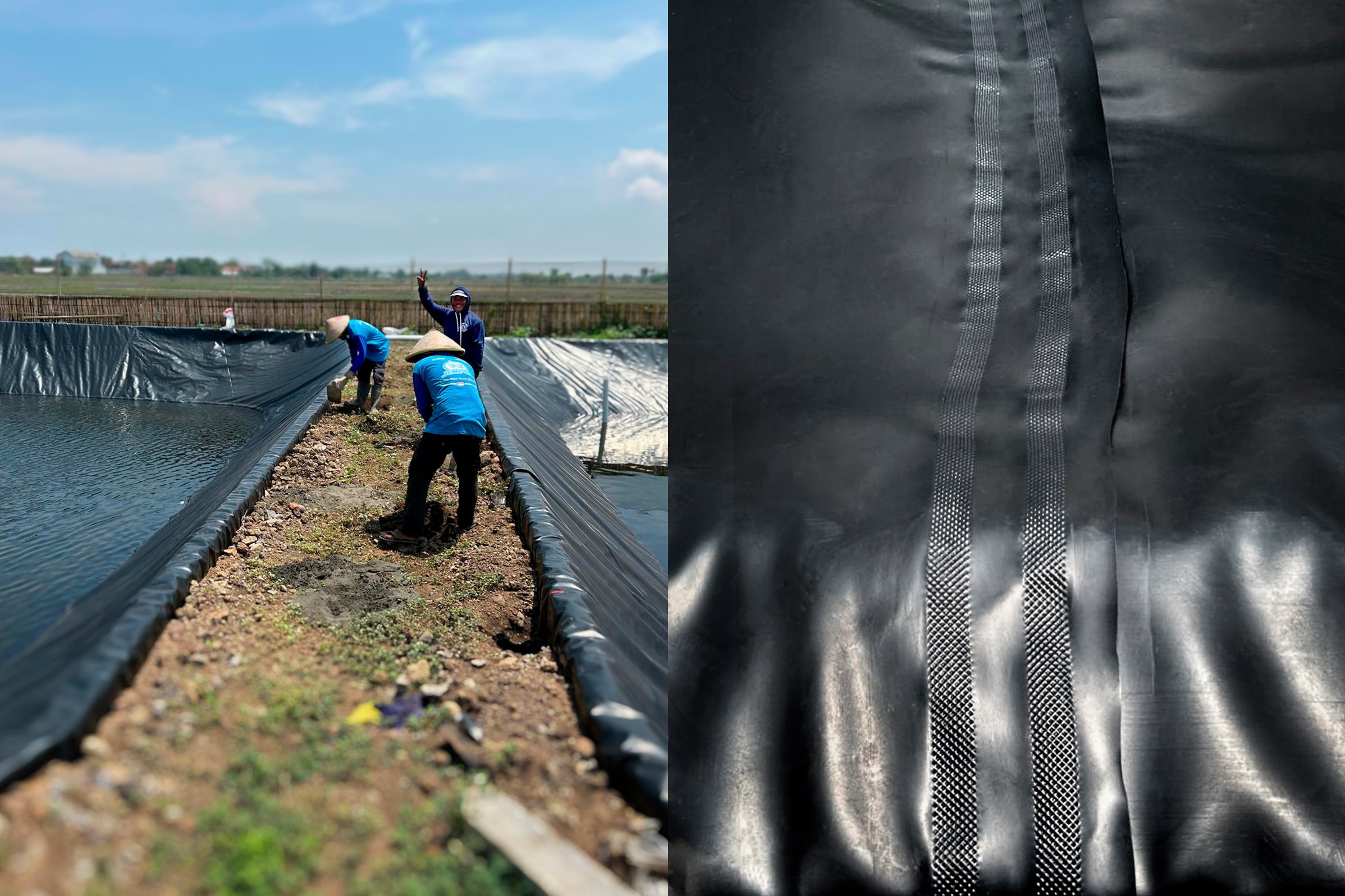 LT_CORP_Jempol_Semarang_Shrimp_Farming_IM_02.jpg