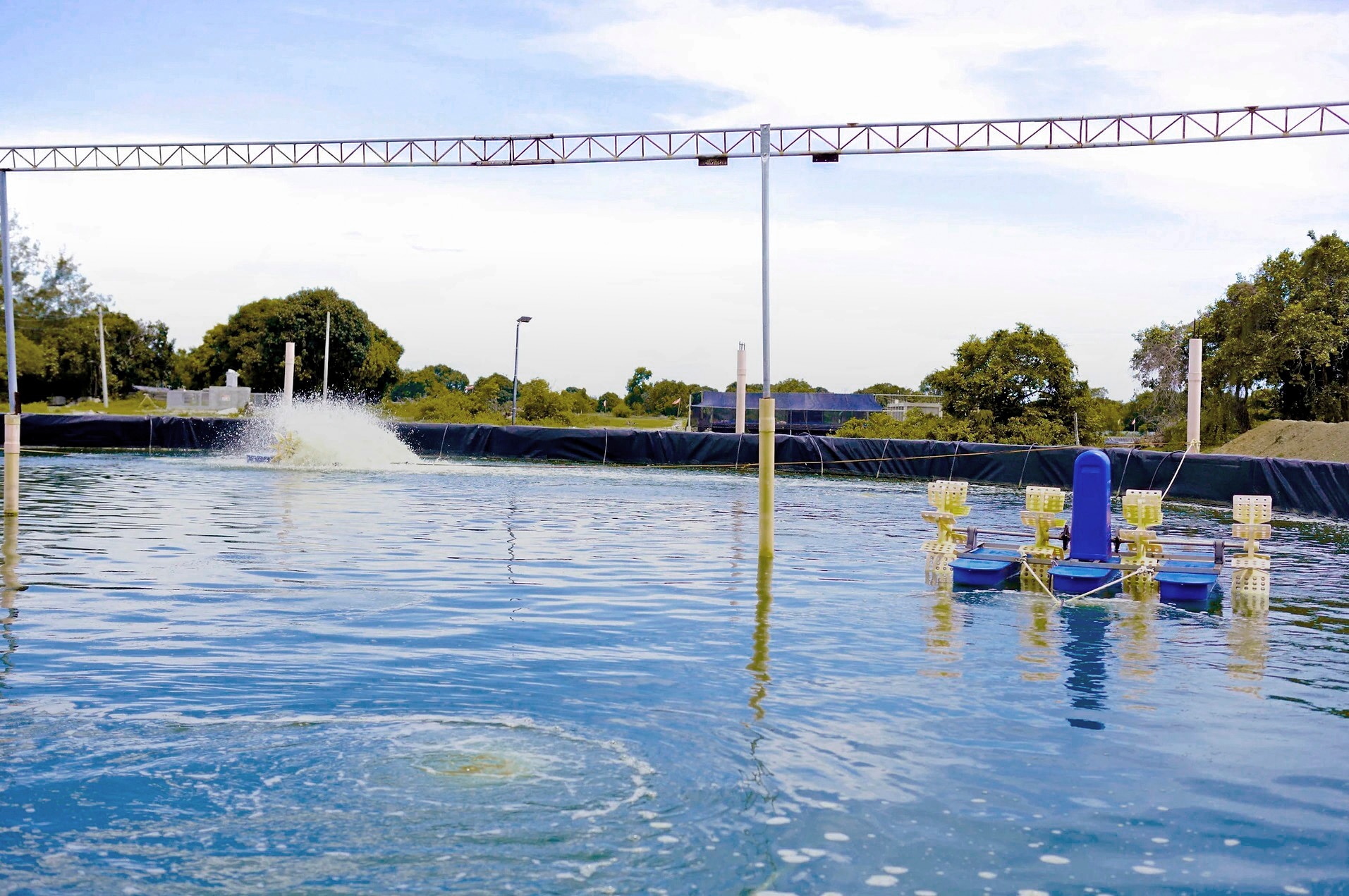 LT_CORP_Palaya_Shrimp_Farm_IM_03.jpg