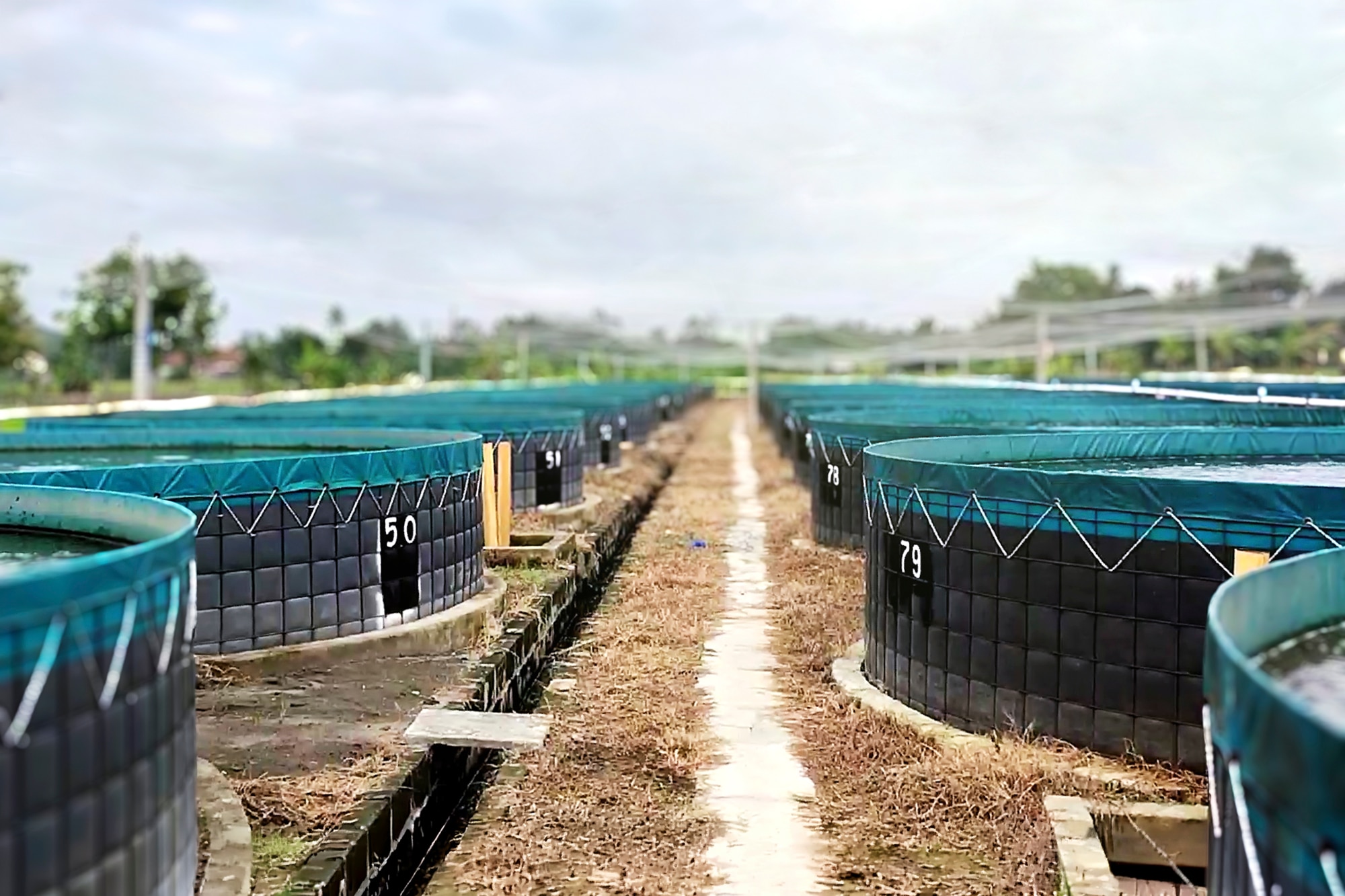 Aquaculture farm