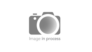 Inlet Flange